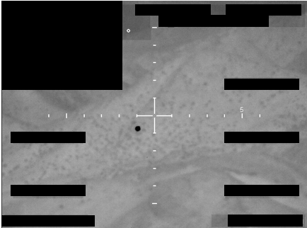 FBI Photo A005
