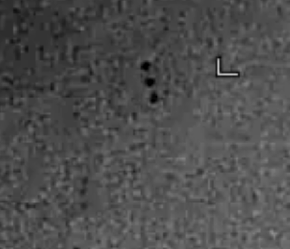 DOW-UAP-PR096, "HH11 03 July 2018 UAPs"